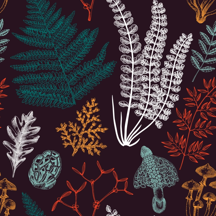 Vector seamless pattern with fern leaf, mushrooms, fall leaves and autumn plant sketches. Monochrome botanical repeating texture. Hand drawn autumn forest background. Vintage nature design for print